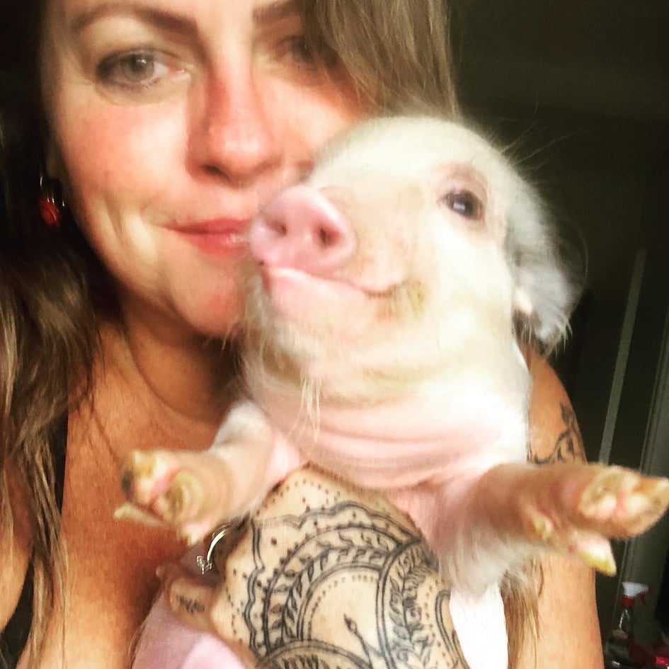 Selfie de tutora e mini porco Bale para redes sociais