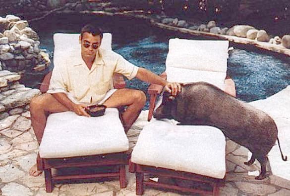 George Clooney fala sobre seu porquinho Max